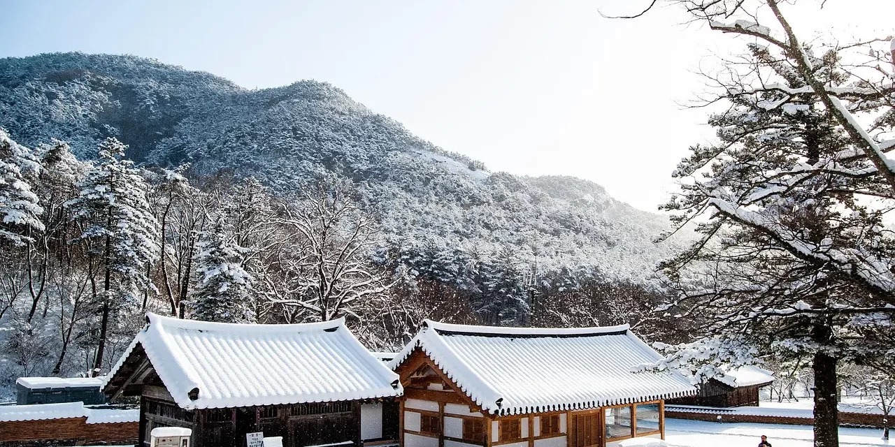 🌿 An Enlightened Person Is Silent: Seeing as It Is, Living as It Is | Master Woo Myung | Santa Clara Meditation