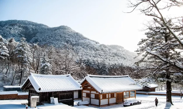 🌿 An Enlightened Person Is Silent: Seeing as It Is, Living as It Is | Master Woo Myung | Santa Clara Meditation