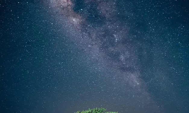 🌌 IT IS THE WAY OF THE WORLD THAT WE COME FROM THE ORIGIN AND RETURN BACK TO THE ORIGIN | MASTER WOO MYUNG | SANTA CLARA MEDITATION