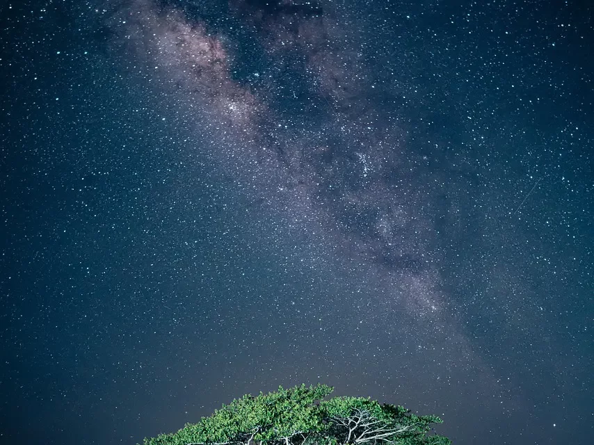 🌌 IT IS THE WAY OF THE WORLD THAT WE COME FROM THE ORIGIN AND RETURN BACK TO THE ORIGIN | MASTER WOO MYUNG | SANTA CLARA MEDITATION