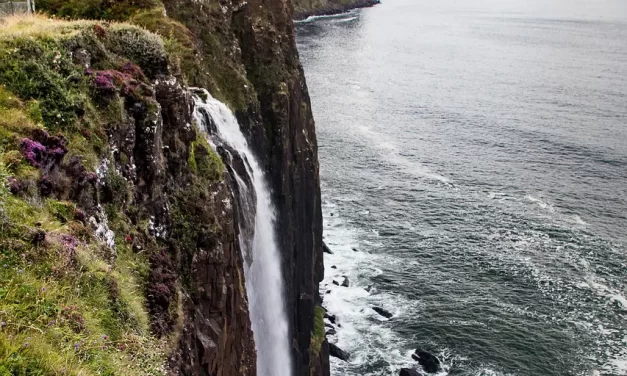 🌸 Prayer: Becoming One with God Through Cleansing the Mind | Master Woo Myung | Santa Clara Meditation
