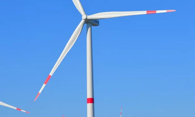 💨 Wind I: impermanence freedom and truth | Master Woo Myung | Santa Clara Meditation