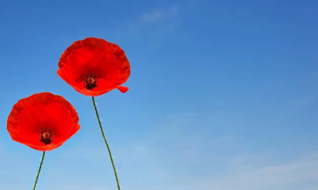 🌟 TRUTH AND FALSENESS II: Being Born in the Complete World of Truth | MASTER WOO MYUNG | SANTA CLARA MEDITATION