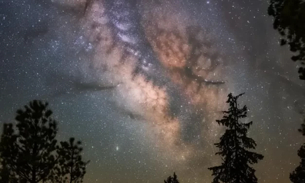 🌌 THE REALM OF GOD: THE WORLD COMPLETELY ABSENT OF SELF | MASTER WOO MYUNG | SANTA CLARA MEDITATION