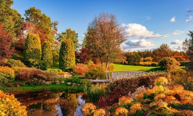 🌈 REAL AND FAKE: What is real is Truth and what is fake is falseness | MASTER WOO MYUNG | SANTA CLARA MEDITATION