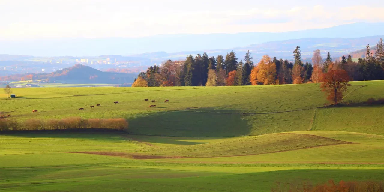 🌏 WANTS: A Life Without Greed and One Mind | Master Woo Myung | Santa Clara Meditation