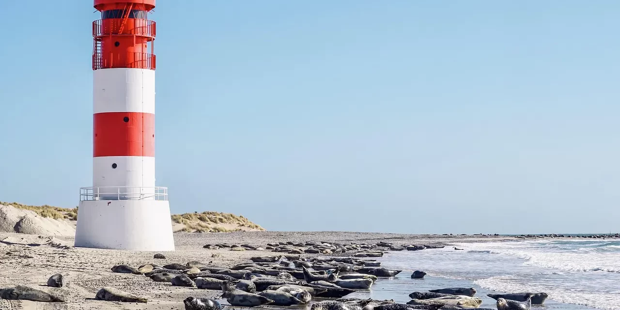 🌅 WHAT DOES THE PHRASE “HOW CAN I BE ENLIGHTENED WHEN DŌ DOES NOT ORIGINALLY EXIST?” MEAN? | MASTER WOO MYUNG | SANTA CLARA MEDITATION