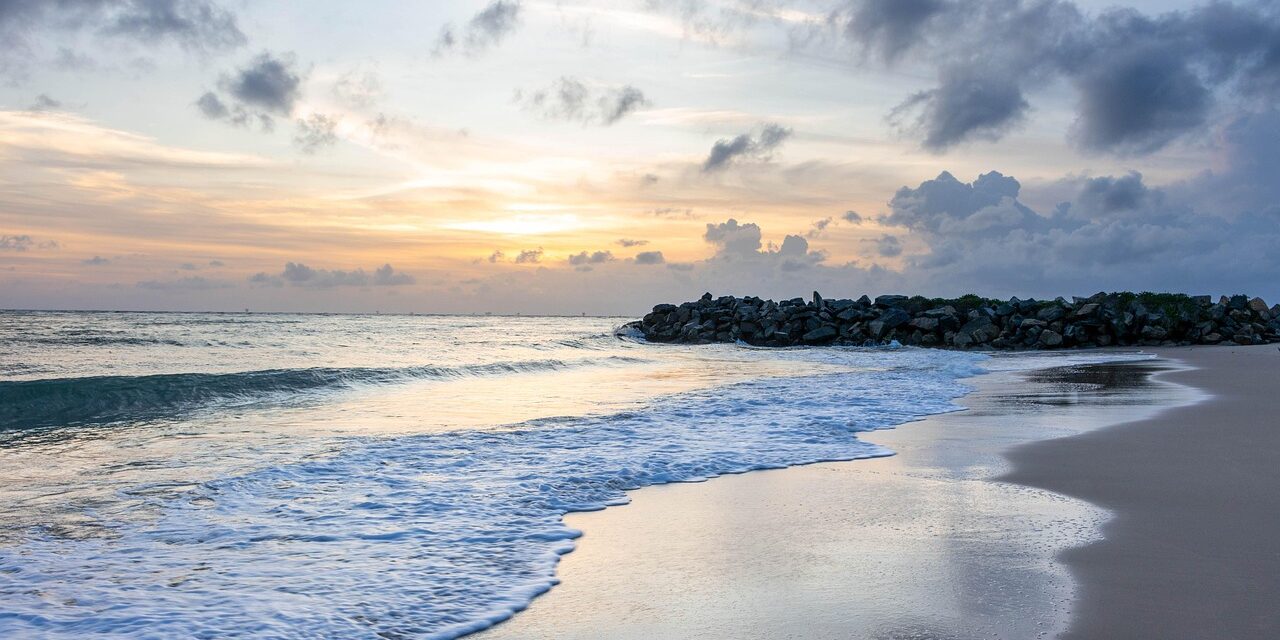 🌤️ THE DAY OF THE LORD WILL COME LIKE A THIEF IN THE NIGHT: No one will know he is Truth | MASTER WOO MYUNG | SANTA CLARA MEDITATION