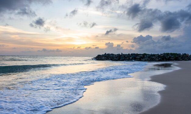 🌤️ THE DAY OF THE LORD WILL COME LIKE A THIEF IN THE NIGHT: No one will know he is Truth | MASTER WOO MYUNG | SANTA CLARA MEDITATION