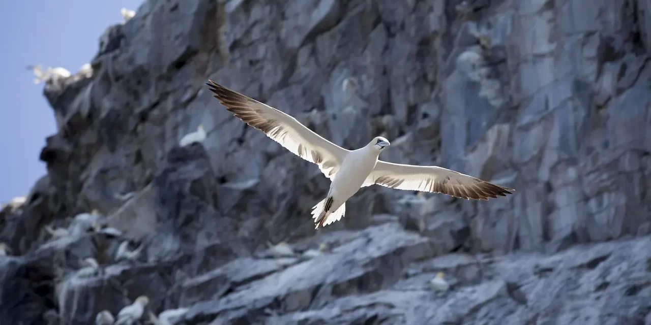 🌟 TRUTH IS AS IT IS: Everything as you see it is Truth, as it is | MASTER WOO MYUNG | SANTA CLARA MEDITATION