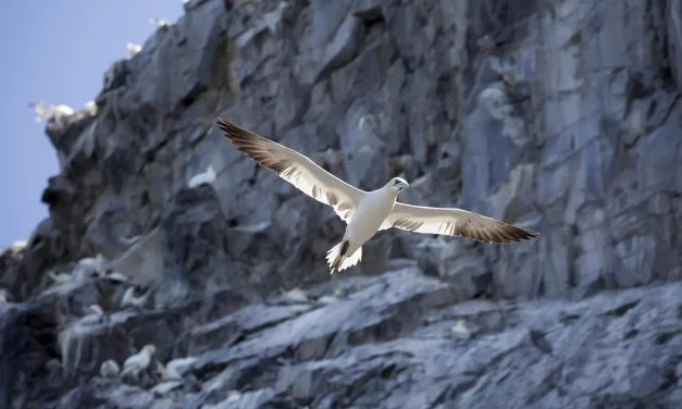 🌟 TRUTH IS AS IT IS: Everything as you see it is Truth, as it is | MASTER WOO MYUNG | SANTA CLARA MEDITATION