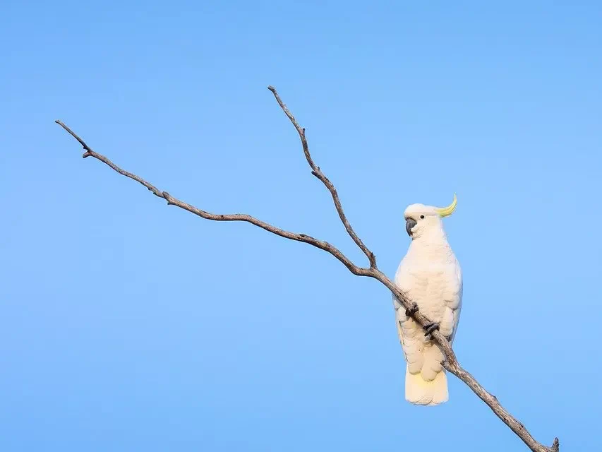 🌞 The Living Know the Living and the Dead: seeing Truth beyond human consciousness | Master Woo Myung | Santa Clara Meditation