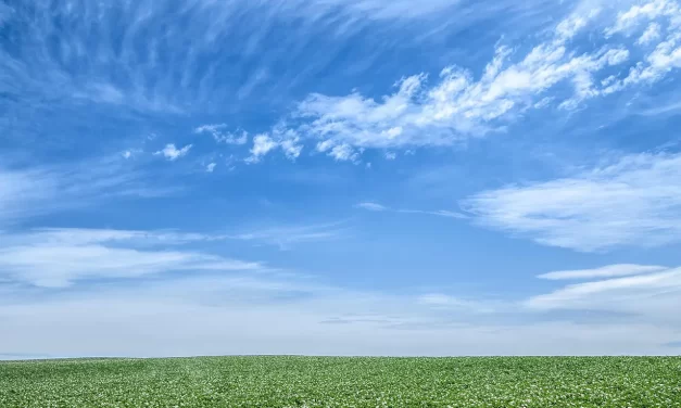 🌿 WHO WILL ACCUSE WHOM? WHO WILL BLAME WHOM? | MASTER WOO MYUNG | SANTA CLARA MEDITATION