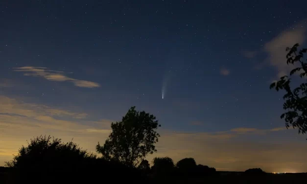 🌟 WHY COMETS ARE FORMED AND THEIR ROLE IN THE UNIVERSE: They can be said to be the brooms of the Universe | MASTER WOO MYUNG | SANTA CLARA MEDITATION