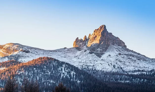 🌿 Sin: The Only True Sin Is Not Becoming Truth | Master Woo Myung | Santa Clara Meditation