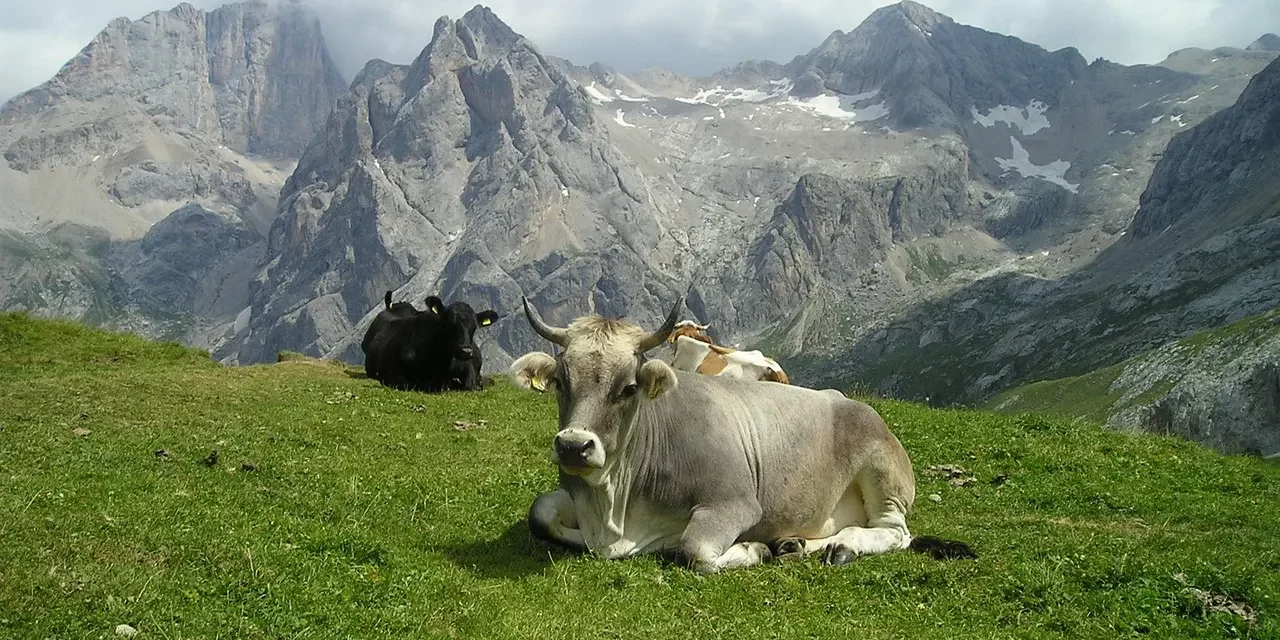 🌟 THE MIND EXISTS IN THE IMAGE: The Mind Living Within the Image | MASTER WOO MYUNG | SANTA CLARA MEDITATION