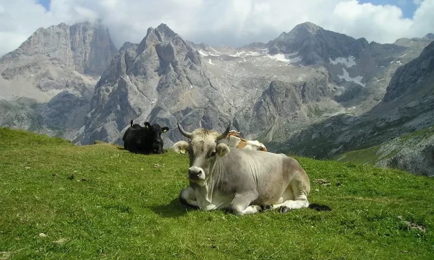 🌟 THE MIND EXISTS IN THE IMAGE: The Mind Living Within the Image | MASTER WOO MYUNG | SANTA CLARA MEDITATION