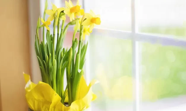 🌅 TRY AS THEY MAY, THE DEAD CANNOT HEAR THE WORDS OF ONE WHOSE CONSCIOUSNESS IS ALIVE: A person whose consciousness has become Truth is alive | MASTER WOO MYUNG | SANTA CLARA MEDITATION