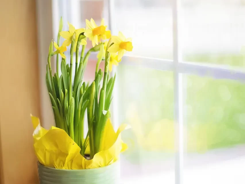 🌅 TRY AS THEY MAY, THE DEAD CANNOT HEAR THE WORDS OF ONE WHOSE CONSCIOUSNESS IS ALIVE: A person whose consciousness has become Truth is alive | MASTER WOO MYUNG | SANTA CLARA MEDITATION