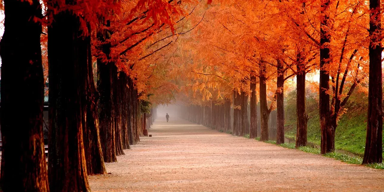 ⚛️ EXISTENCE AND NON-EXISTENCE | MASTER WOO MYUNG | SANTA CLARA MEDITATION