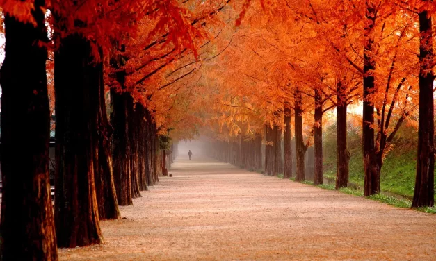 ⚛️ EXISTENCE AND NON-EXISTENCE | MASTER WOO MYUNG | SANTA CLARA MEDITATION