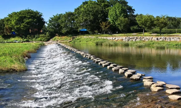 🌄 WHEN LIFE AND DEATH ARE ONE, IT IS PARADISE: Paradise Where Life and Death Are One | MASTER WOO MYUNG | SANTA CLARA MEDITATION