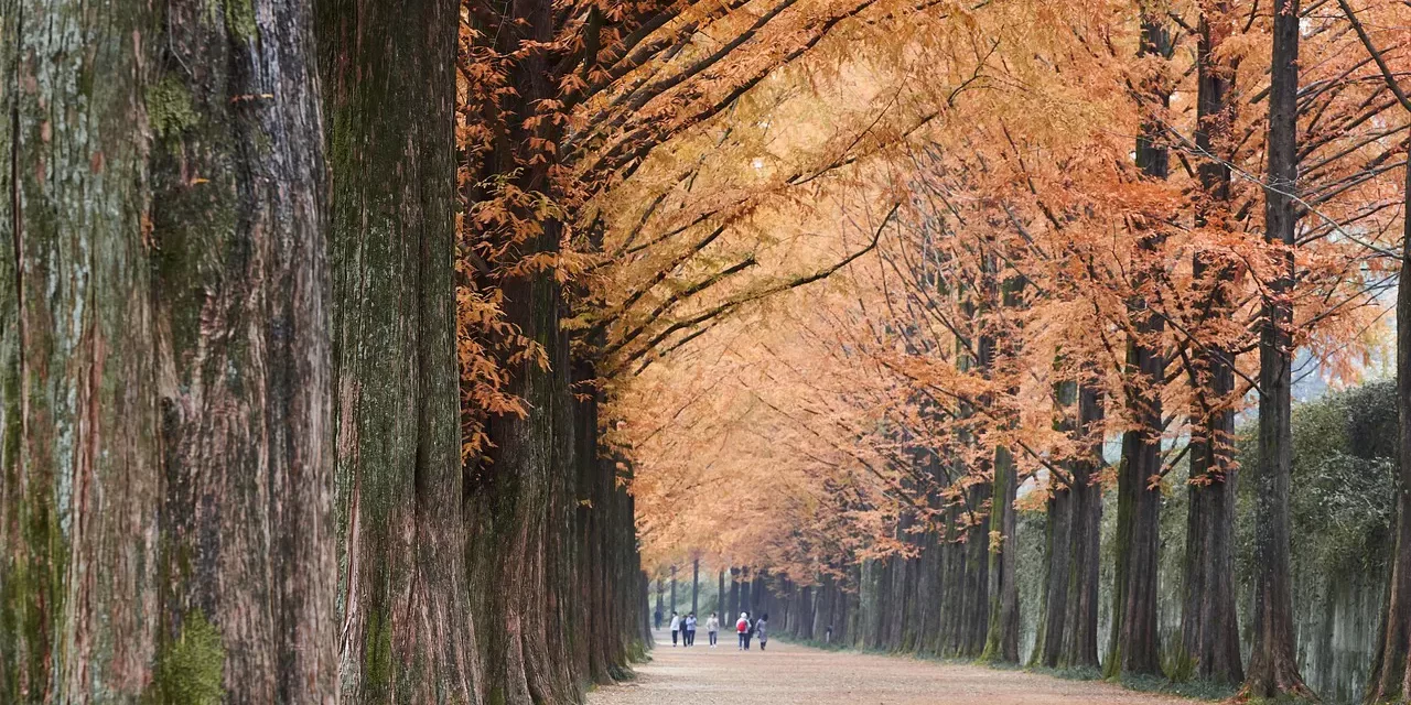 ☀️ WHAT KIND OF A PLACE IS THE WORLD OF GOD, AND HOW IS IT DIFFERENT? | MASTER WOO MYUNG | SANTA CLARA MEDITATION