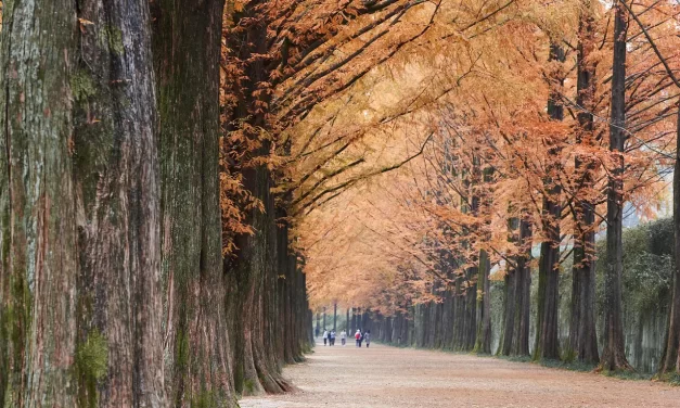 ☀️ WHAT KIND OF A PLACE IS THE WORLD OF GOD, AND HOW IS IT DIFFERENT? | MASTER WOO MYUNG | SANTA CLARA MEDITATION