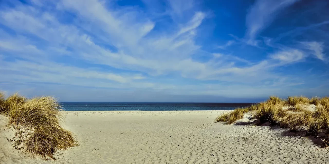 🌿 People Who Live in Their Fantasies: Only by Discarding Fantasies Can One Live as Truth | Master Woo Myung | Santa Clara Meditation