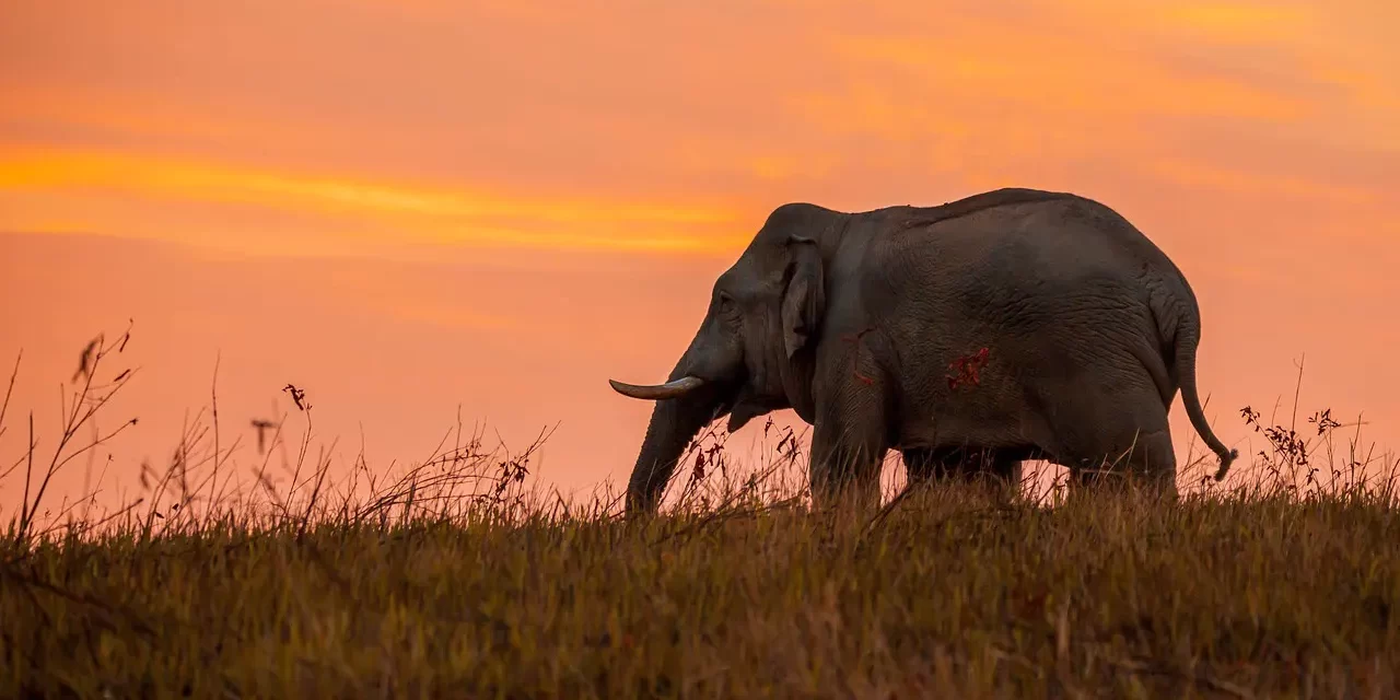 🌈 STUDIES: The study of selflessness is the study of eliminating human thoughts | MASTER WOO MYUNG | SANTA CLARA MEDITATION