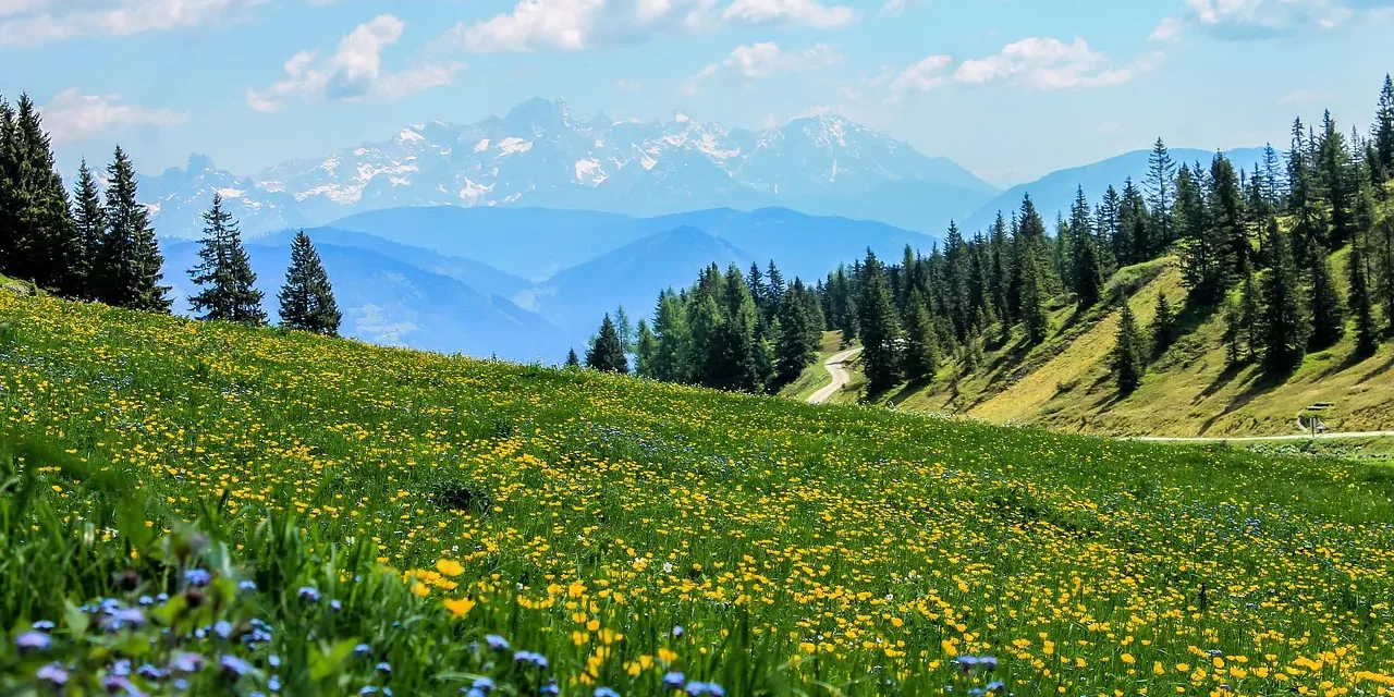 🌌 ONLY WHEN YOU DIE CAN YOU KNOW THE WORLD BEYOND: Knowing the World Beyond by Dying While Alive | MASTER WOO MYUNG | SANTA CLARA MEDITATION