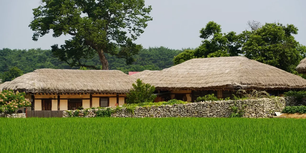 🌼 CRADLE: A Story of Poverty, Motherhood, and Hardship | MASTER WOO MYUNG | SANTA CLARA MEDITATION