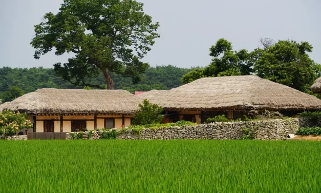 🌼 CRADLE: A Story of Poverty, Motherhood, and Hardship | MASTER WOO MYUNG | SANTA CLARA MEDITATION