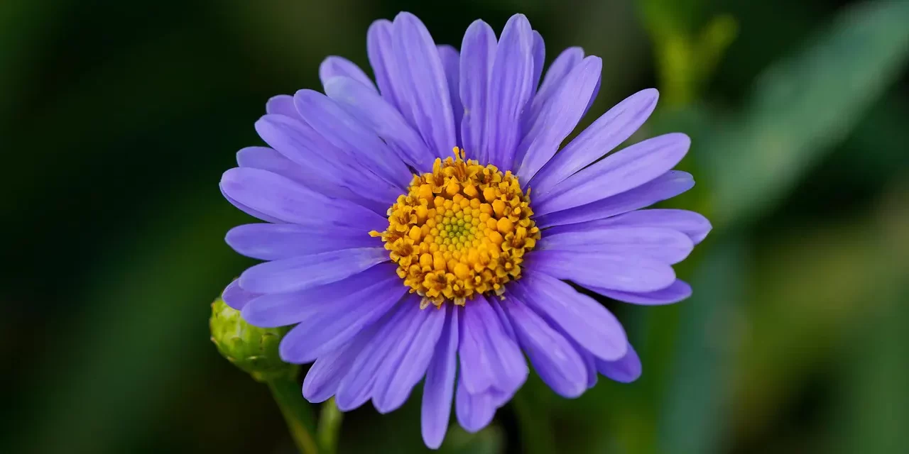 🌌 The Universe Is the Great, Living Soul and Spirit: Eternal Energy and Light Beyond Death | MASTER WOO MYUNG | SANTA CLARA MEDITATION