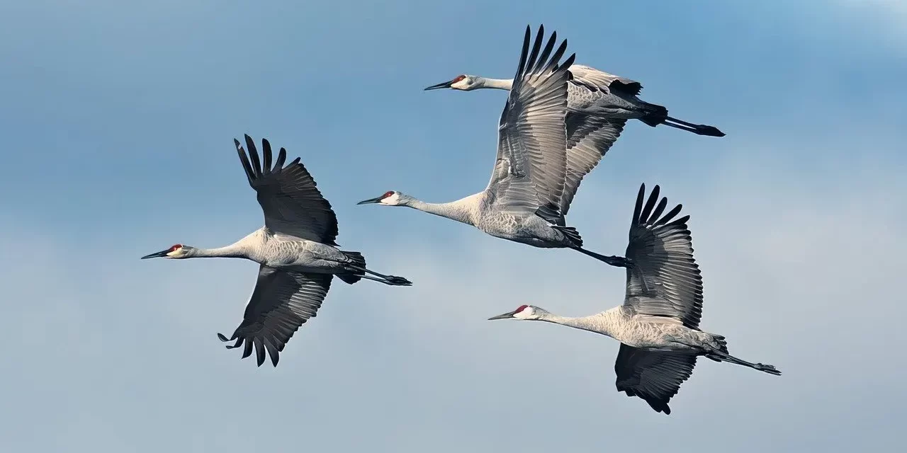 🕊️ IN ME EXISTS THE TEMPLE OF GOD AND THE SANCTUM OF BUDDHA: THE INFINITE MIND OF TRUTH | MASTER WOO MYUNG | SANTA CLARA MEDITATION