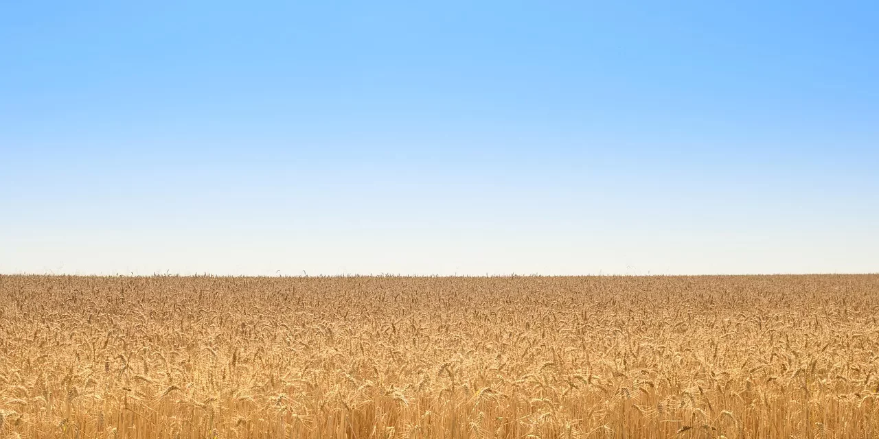 🌤️ EMPTINESS II: That emptiness is me | MASTER WOO MYUNG | SANTA CLARA MEDITATION