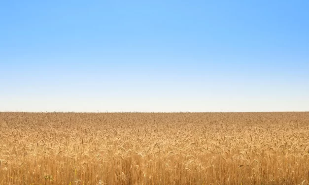 🌤️ EMPTINESS II: That emptiness is me | MASTER WOO MYUNG | SANTA CLARA MEDITATION