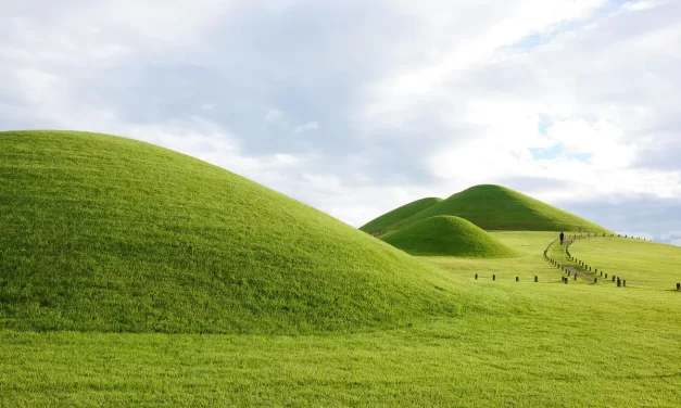 🌟 Death: Only Those Who Are Reborn as Truth and Energy of the Universe Live Forever | Master Woo Myung | Santa Clara Meditation