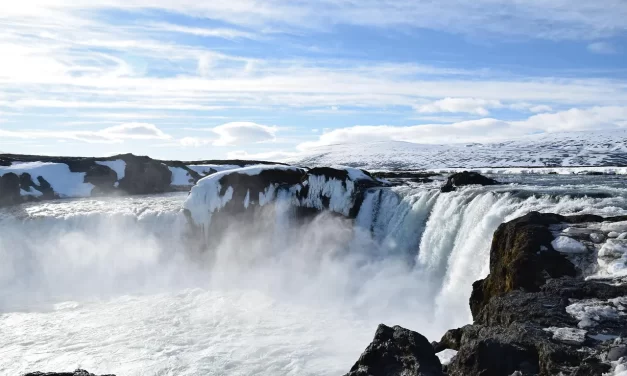 💛 WORDS: One word spoken, one word, can save a person | MASTER WOO MYUNG | SANTA CLARA MEDITATION