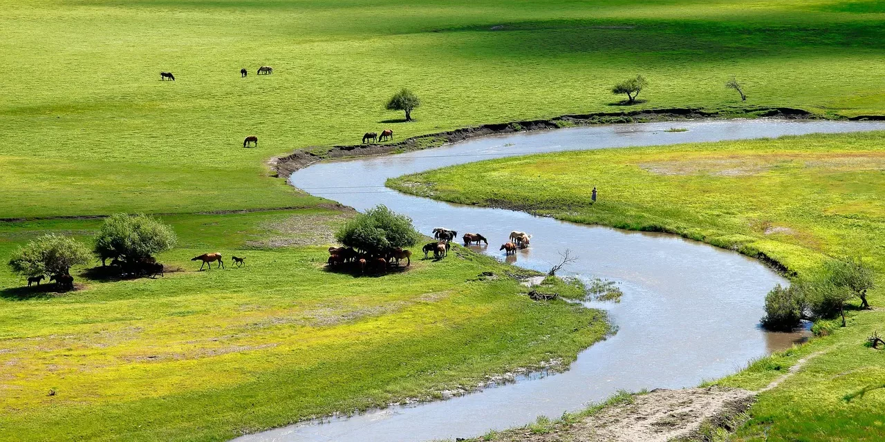 🌊 GRIEF AND JOY: THE ILLUSION OF EMOTIONS AND THE PATH TO COMPLETION | MASTER WOO MYUNG | SANTA CLARA MEDITATION