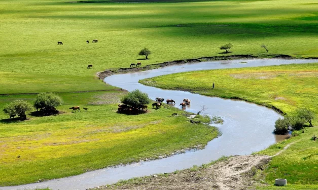 🌊 GRIEF AND JOY: THE ILLUSION OF EMOTIONS AND THE PATH TO COMPLETION | MASTER WOO MYUNG | SANTA CLARA MEDITATION