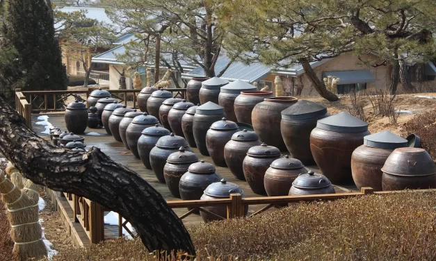 🌞 Only Truth Can Teach Truth: The Universe’s Law of Completion | MASTER WOO MYUNG | SANTA CLARA MEDITATION