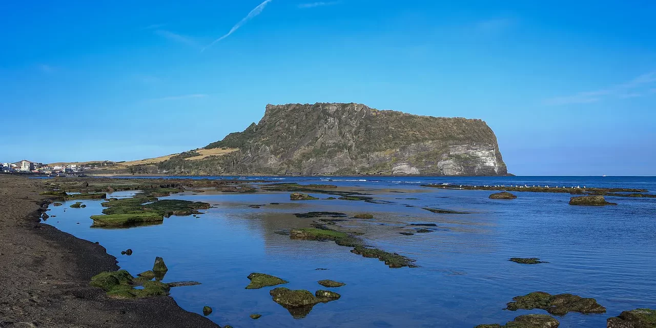 🌠 Only the Creator Can Save You: Becoming Truth and Living Forever | MASTER WOO MYUNG | SANTA CLARA MEDITATION