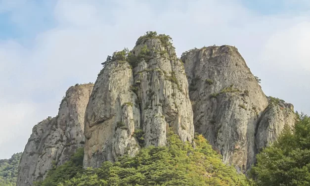 🌠 SALVATION & THE ORIGINAL FOUNDATION: WHEN THE MASTER APPEARS | MASTER WOO MYUNG | SANTA CLARA MEDITATION