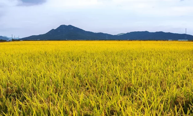 🌙 LONELY MIND: THE SOLITUDE OF TRUTH | MASTER WOO MYUNG | SANTA CLARA MEDITATION