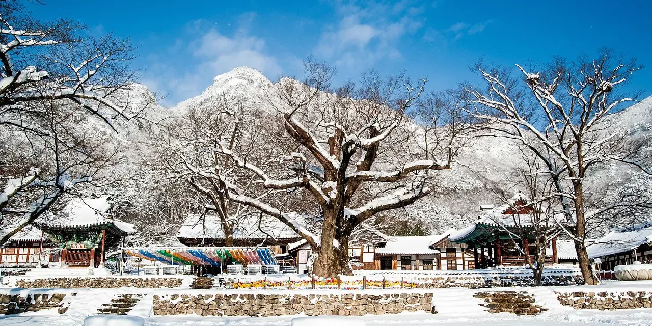 🌈 WHAT IS THE UNION OF HEAVEN, EARTH, AND MAN? | MASTER WOO MYUNG | SANTA CLARA MEDITATION