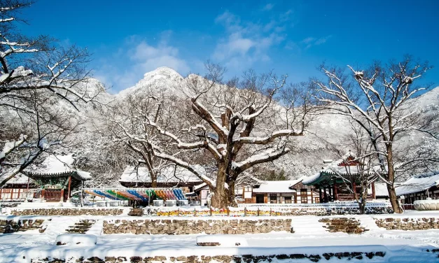 🌈 WHAT IS THE UNION OF HEAVEN, EARTH, AND MAN? | MASTER WOO MYUNG | SANTA CLARA MEDITATION