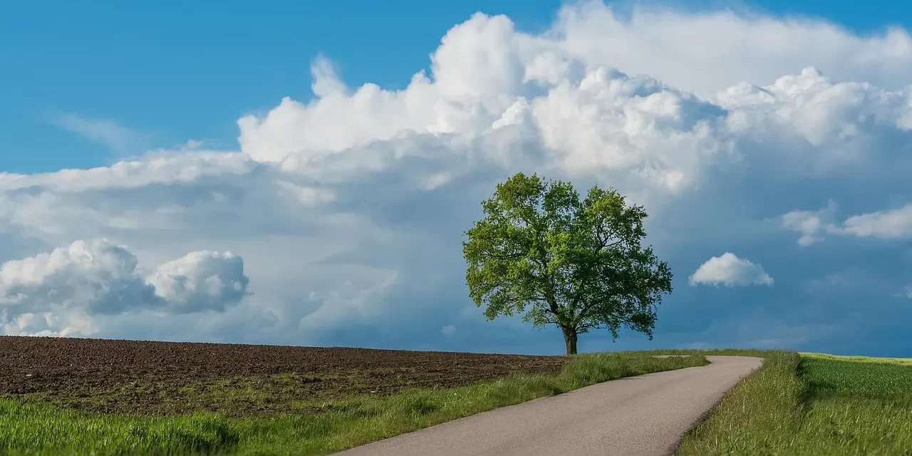 🌟 THOUGH MAN HAS EYES, HE CANNOT SEE; THOUGH MAN HAS EARS, HE CANNOT HEAR: Becoming the Scriptures by Cleansing the Mind | MASTER WOO MYUNG | SANTA CLARA MEDITATION