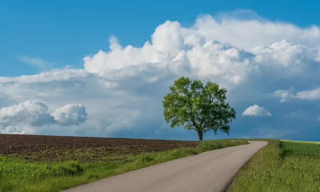🌟 THOUGH MAN HAS EYES, HE CANNOT SEE; THOUGH MAN HAS EARS, HE CANNOT HEAR: Becoming the Scriptures by Cleansing the Mind | MASTER WOO MYUNG | SANTA CLARA MEDITATION