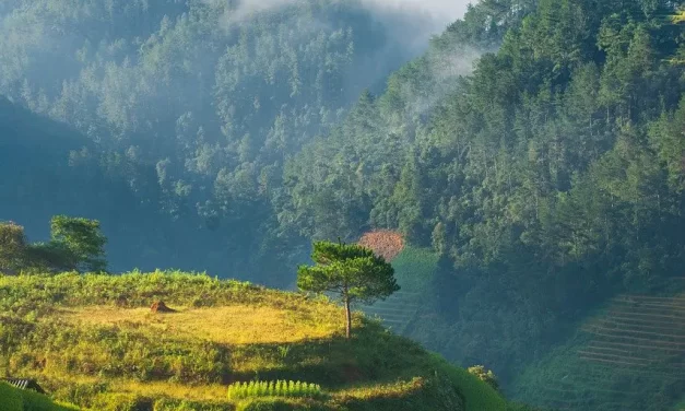 🌫️ ILLUSIONS: AWAKENING FROM THE FALSE WORLD TO REACH HEAVEN | MASTER WOO MYUNG | SANTA CLARA MEDITATION